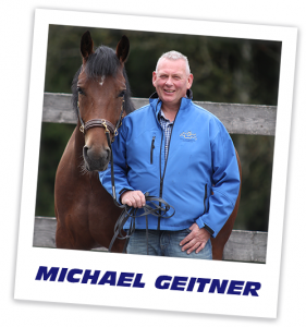 Pferdetrainer Michael Geitner